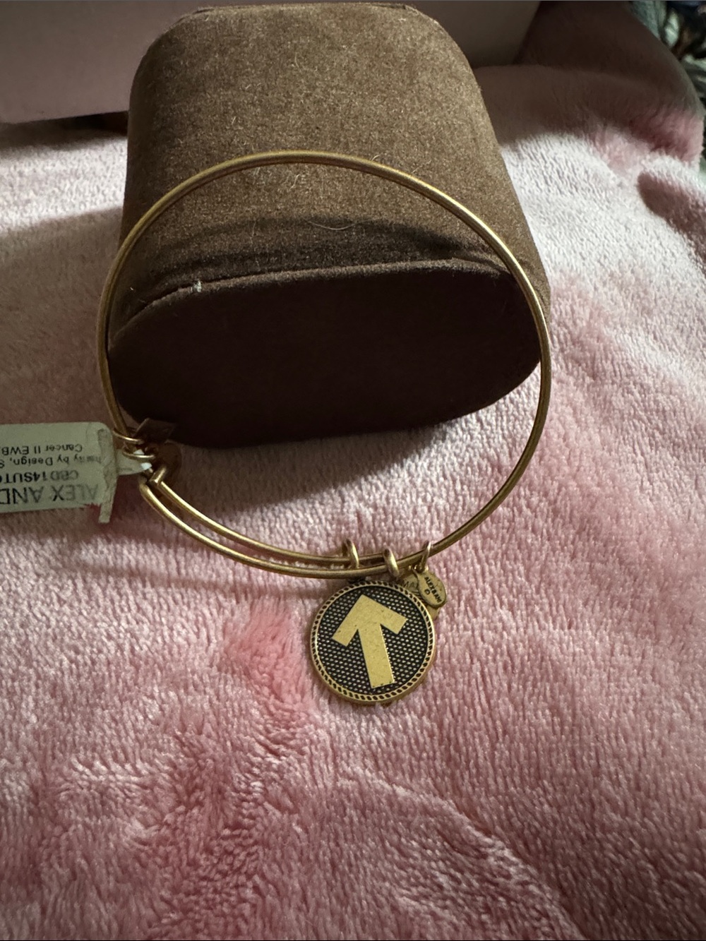 Alex and Ani Gold Tone Arrow Charm Bangle Bracelet